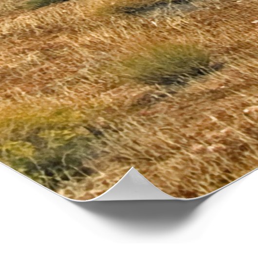 Wild Burros von Red Rock Canyon Poster (Ecke)