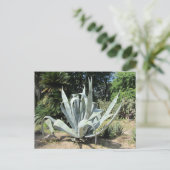 Wild Cactus Postkarte (Stehend Vorderseite)