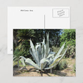 Wild Cactus Postkarte (Vorne/Hinten)