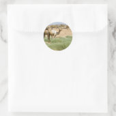 Wild Camels Runder Aufkleber (Tasche)