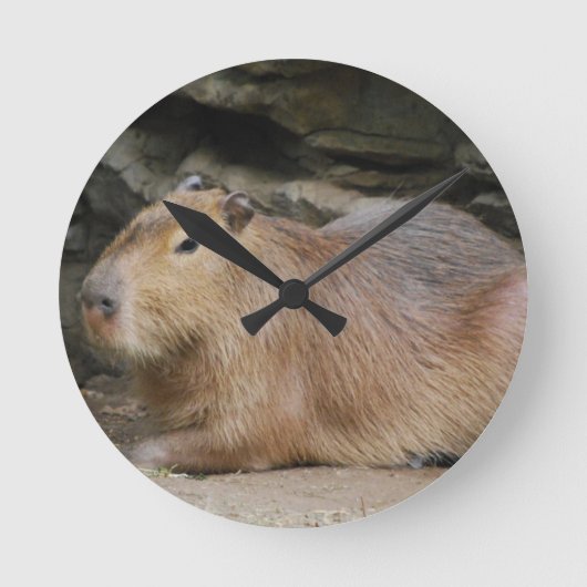 Wild Capybara Clock Runde Wanduhr (Vorderseite)