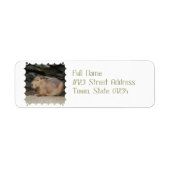 Wild Capybara Mailing Labels (Vorne)