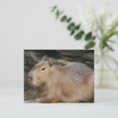 Wild Capybara Postkarte (Stehend Vorderseite)