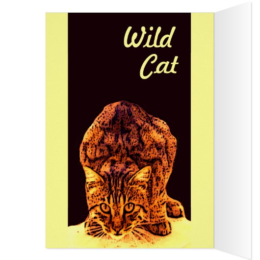 WILD CAT KITTEN (Innen (Links))