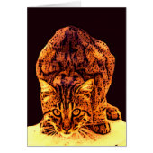 WILD CAT KITTEN (Vorne)