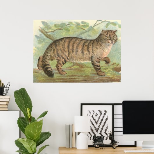 Wild Cat Poster (Heimbüro)
