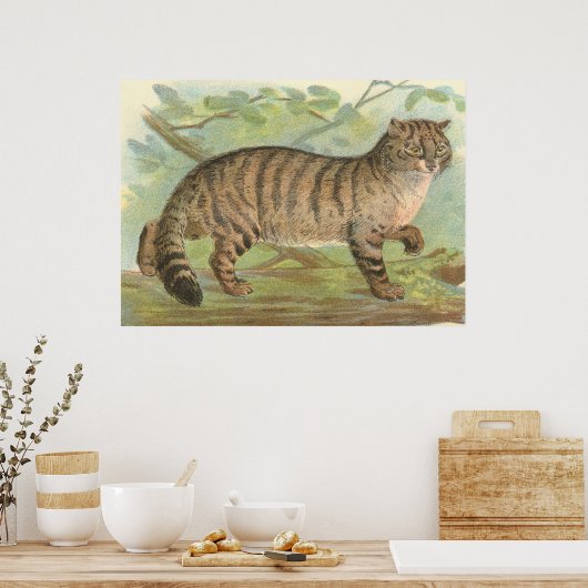 Wild Cat Poster (Küche)