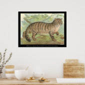 Wild Cat Poster (Küche)