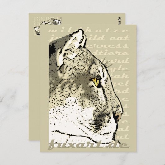 WILD CAT POSTKARTE (Vorne/Hinten)