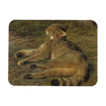 Wild Cat (von Rosa Bonheur)