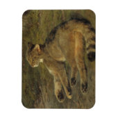 Wild Cat (von Rosa Bonheur) Magnet (Vertikal)