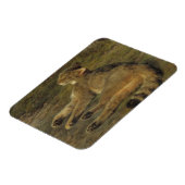 Wild Cat (von Rosa Bonheur) Magnet (Linke Seite)