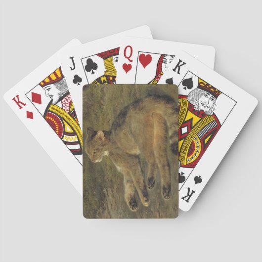 Wild Cat (von Rosa Bonheur) Spielkarten (Rückseite)
