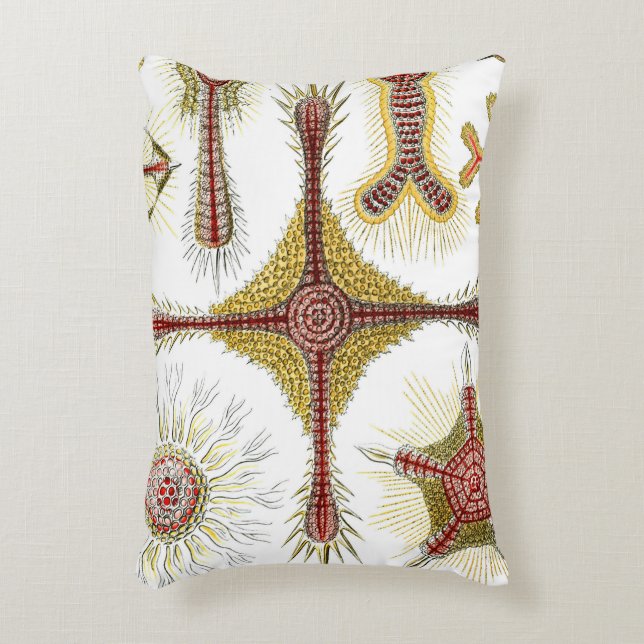 Wild Chamomile von Ernst Haeckel, Vintage Natur Dekokissen (Vorderseite(Vertikal))