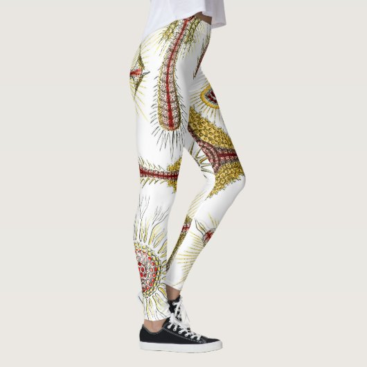 Wild Chamomile von Ernst Haeckel, Vintage Natur Leggings (Rechts)