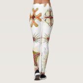 Wild Chamomile von Ernst Haeckel, Vintage Natur Leggings (Rückseite)