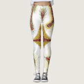 Wild Chamomile von Ernst Haeckel, Vintage Natur Leggings (Vorderseite)