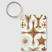 Wild Chamomile von Ernst Haeckel, Vintage Natur Schlüsselanhänger (Vorderseite)