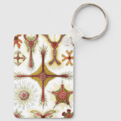 Wild Chamomile von Ernst Haeckel, Vintage Natur Schlüsselanhänger (Rückseite)