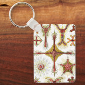 Wild Chamomile von Ernst Haeckel, Vintage Natur Schlüsselanhänger (Vorderseite)