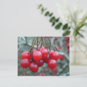 Wild Cherry Postkarte (Stehend Vorderseite)