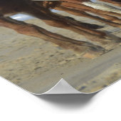 Wild Chincoteague Ponies, Assateague Island Beach Poster (Ecke)