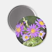Wild Chrysanthemum Magnet (Vorderseite/Rückseite)