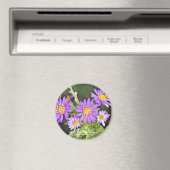 Wild Chrysanthemum Magnet (In Situ (Geschirrspüler))