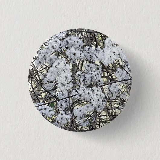WILD CLEMATIS BUTTON (Vorderseite)