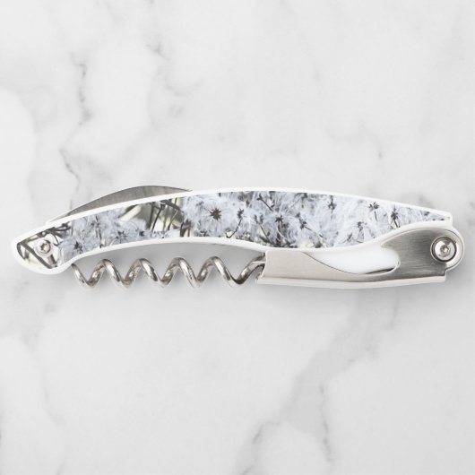 WILD CLEMATIS KELLNERMESSER (Rückseite)