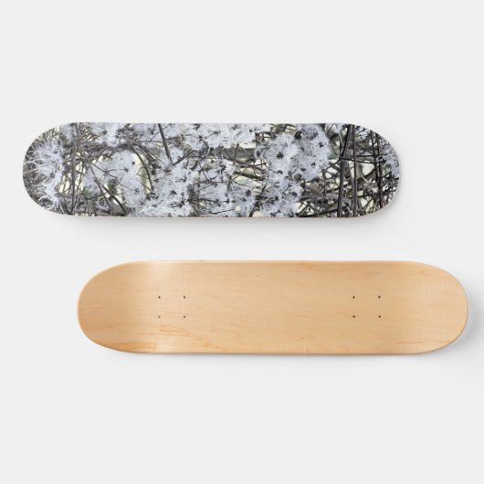 WILD CLEMATIS SKATEBOARD (Horizontal)