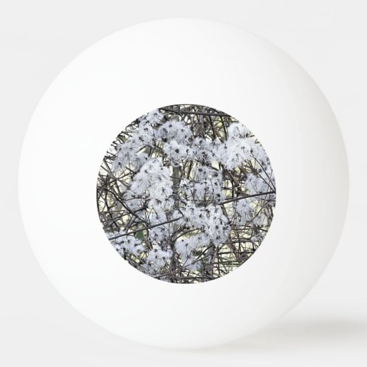 WILD CLEMATIS TISCHTENNISBALL (Rückseite)