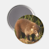Wild Coati Mundi Magnet (Vorderseite/Rückseite)