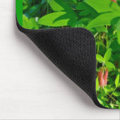 Wild Columbine Mousepad (Ecke)