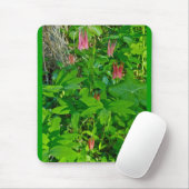 Wild Columbine Mousepad (Mit Mouse)