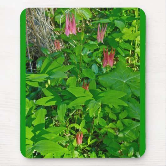 Wild Columbine Mousepad (Vorne)