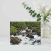 Wild Creek Postcard Postkarte (Stehend Vorderseite)