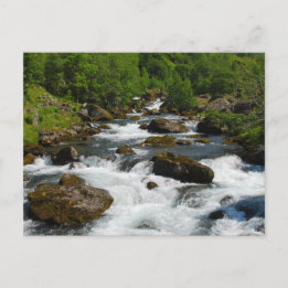 Wild Creek Postcard Postkarte