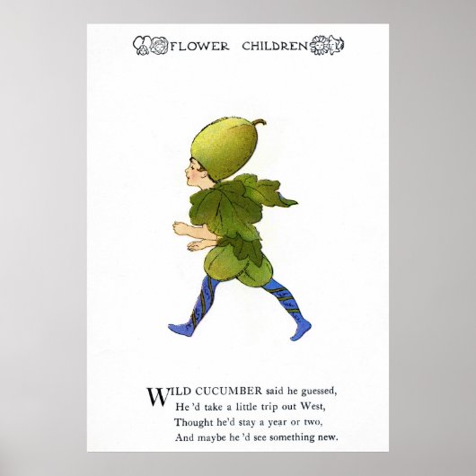 Wild Cucumber Poster (Vorne)