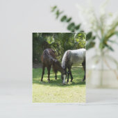 Wild Cumberland Postkarte (Stehend Vorderseite)