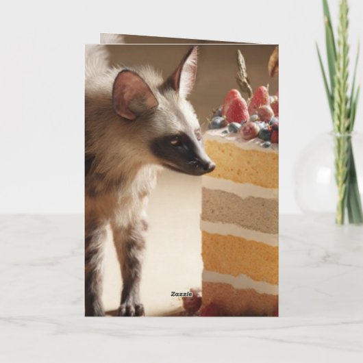 Wild Curiosity & Layered Cake Karte (Rückseite)