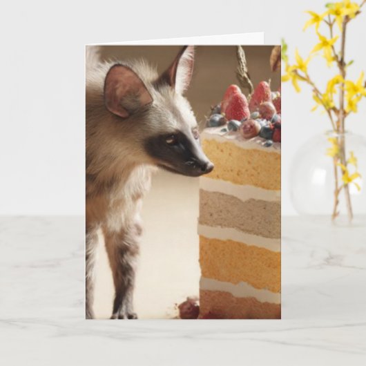 Wild Curiosity & Layered Cake Karte (Gelbe Blume)