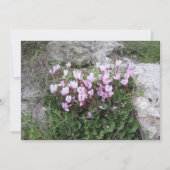 Wild Cyclamen Feiertagskarte (Vorderseite)