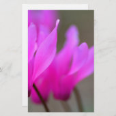 Wild Cyclamen Macro Briefpapier (Vorne/Hinten)