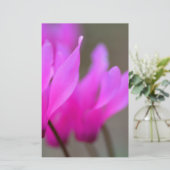 Wild Cyclamen Macro Briefpapier (Stehend Vorderseite)