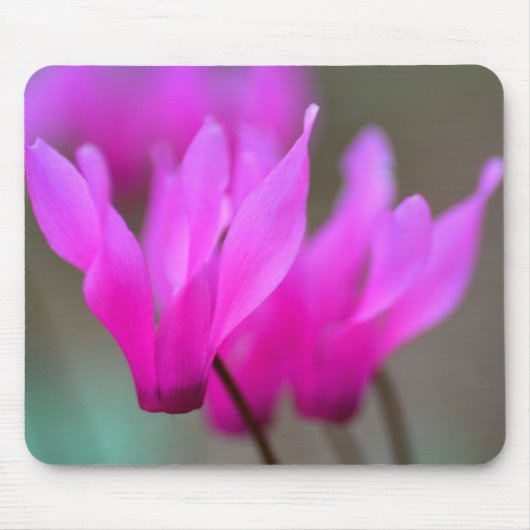 Wild Cyclamen Macro Mousepad (Vorne)