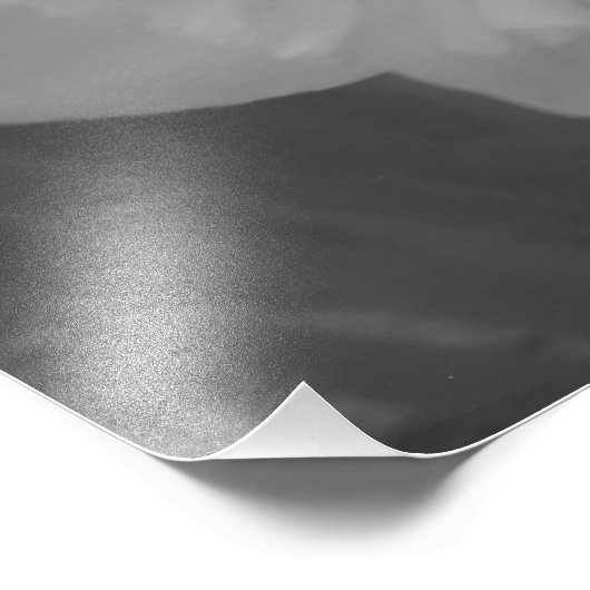 Wild Daffodil Fotodruck (Ecke)