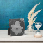 Wild Daffodil Fotoplatte (InSitu)