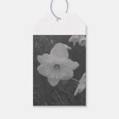 Wild Daffodil Geschenkanhänger (Vorderseite)