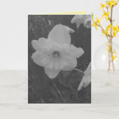 Wild Daffodil Karte (Gelbe Blume)